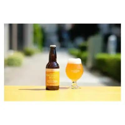 【父の日当日にお届け】横浜ビール ALE 2種12本セット クラフトビール 父の日ギフト AFH0002-F