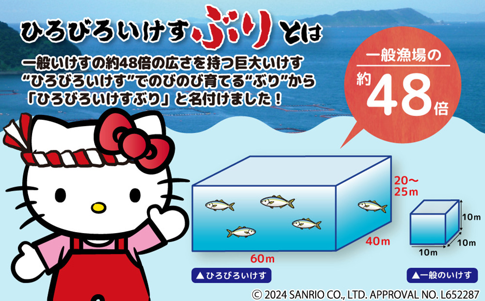 【先行予約】ひろびろいけすぶり(フィレ・片身)1枚 ※11月発送 ぶり 鰤 刺し身 刺身 鰤 大分県産 九州産 津久見市 国産【tsu001101】