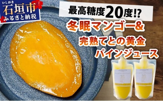 
            《8月以降順次発送》最高糖度20度！？冬眠マンゴーと完熟てとの黄金パインジュース
          