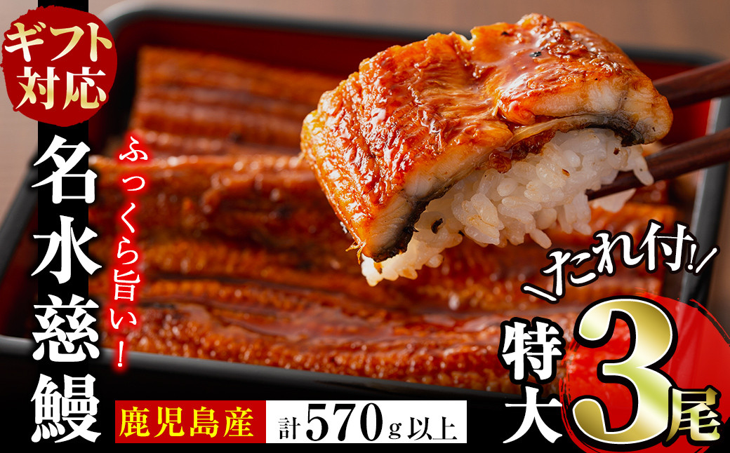 
                  【ギフト対応】鹿児島県産うなぎ蒲焼 名水慈鰻 特大3尾(1尾190g以上)＜計570g以上＞ うなぎ 鰻 ウナギ 3尾 国産 蒲焼 かばやき 冷凍 真空 真空パック 無頭 うな重 ひつまぶし タレ 山椒 敬老の日 b1-024
                