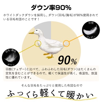 【春夏用】洗える羽毛肌掛け布団シングルサイズダウン90%0.3kg洗濯可能クリーム2枚セット