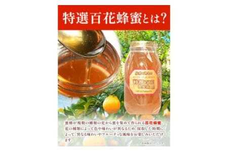 蜂蜜 特撰百花はちみつ 1200g 