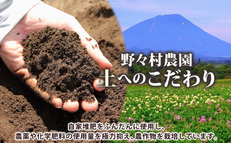 北海道 洞爺湖町産 新じゃがいも きたあかり 約10kg  Mサイズ以上混載 北海道産 新じゃが じゃがいも いも ジャガイモ 馬鈴薯 黄爵 芋 旬 野菜 農作物 送料無料 産地直送 常温 洞爺湖町