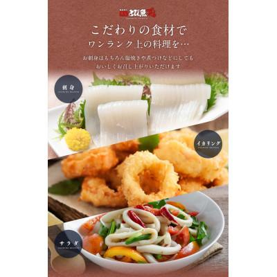 ふるさと納税 若狭町 若狭湾産 アオリイカ3〜8杯 スミ抜き/冷凍(1.5kg程) |  | 02