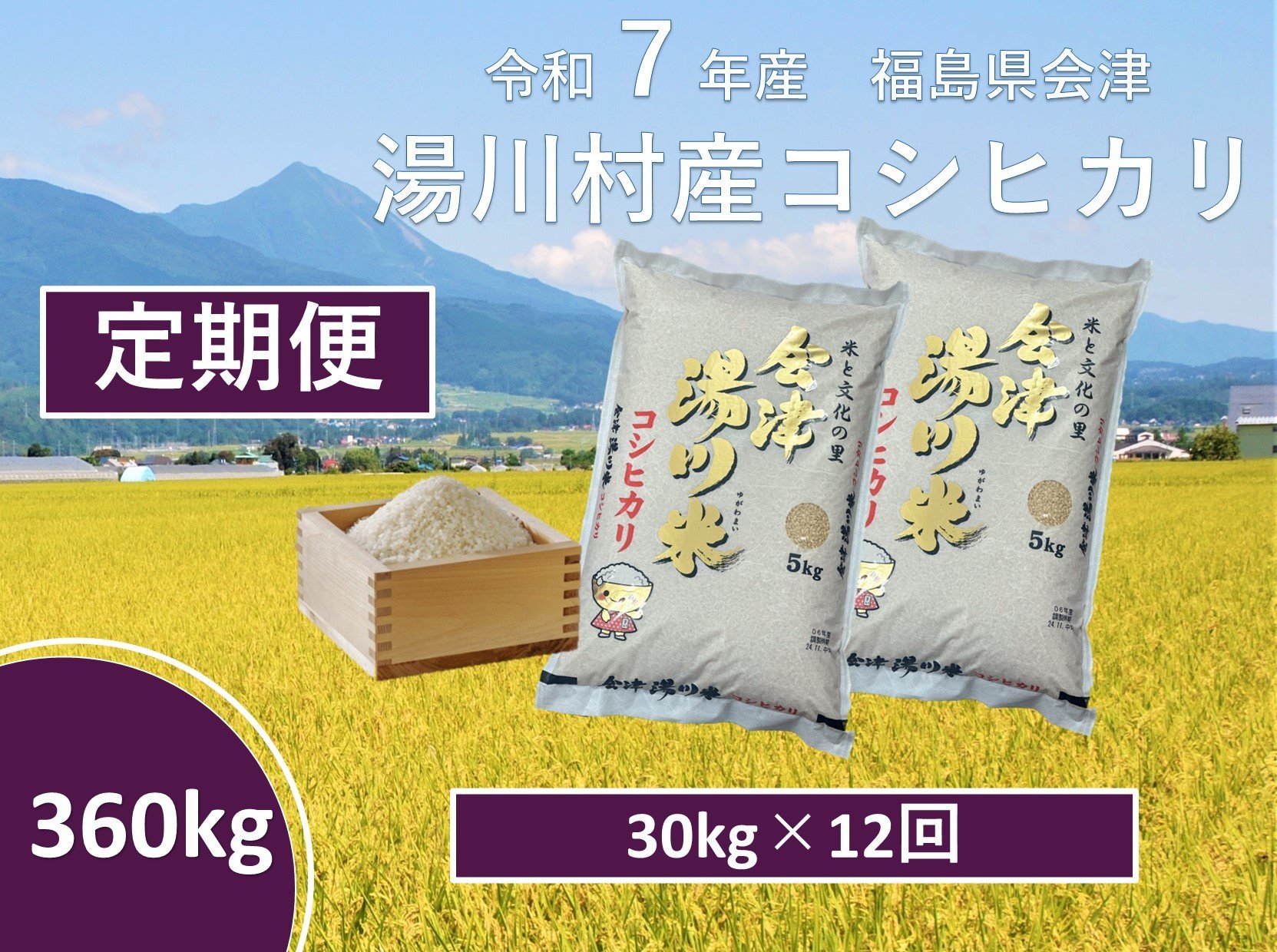 
            令和7年産湯川村産コシヒカリ　玄米360kg(30㎏×12回)【全12回定期便　R7.10月～R8.9月毎月発送】
          