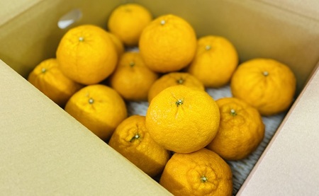 【2027年先行予約】不知火 訳あり しらぬい 約4kg ご家庭用 【2027年3月上旬以降発送予定】 みかん 愛媛 人気 サイズミックス 柑橘 伊予市｜B236