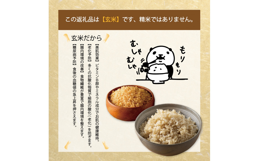 令和7年産　大上農園きぬむすめ 玄米5kg