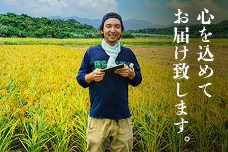 石垣島産 星の美(かい)しゃ 5kg みやぎ米屋【 日本一早い新米の産地 お米 産地直送 旬 ほしじるし 沖縄県 石垣市 送料無料 】MK-3