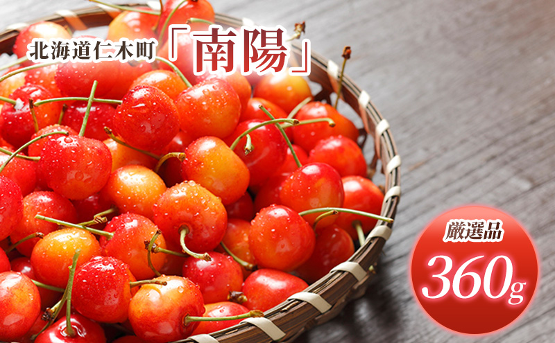 2026年発送 北海道 仁木町産 さくらんぼ 南陽 360g （180g×2パック）  Lサイズ以上 旬 桜桃 産地直送 サクランボ チェリー フルーツ 果物 果物類  仁木町 仁木 [松山商店]