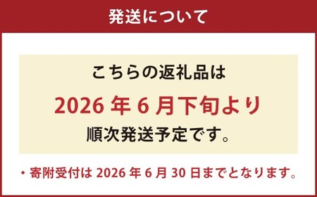 くまモン柄のメロン 1玉 【2026年6月下旬発送開始】 くだもの 果物 フルーツ めろん  肥後グリーンメロン くまもん くまモン