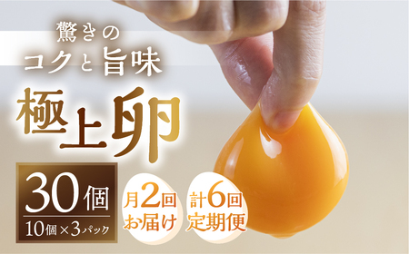 【月2回 隔週お届け定期便 計6回】コク旨 極上卵 30個 割れ保証付き 隔週 定期便 （ たまご 卵 毎月 6回 3ヶ月 3ヵ月 3か月 ランキング ）