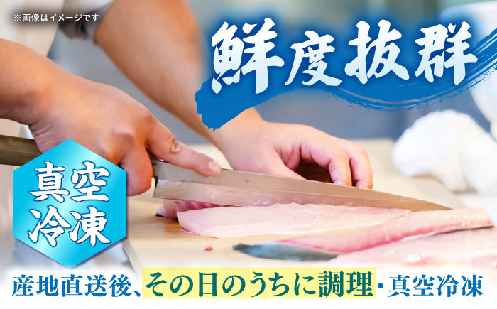 魚 海鮮丼 【まるで捌きたて！？】 海鮮丼 4人前（約70g×4パック） 海鮮 魚 惣菜 鮮魚 新鮮 西海市 贈答 ギフト ＜小安丸＞ [CEU003]