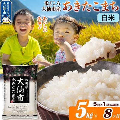 ふるさと納税 大仙市 米《8ヶ月》あきたこまち【白米】  令和7年産 5kg|22_ssn-010508_sf
