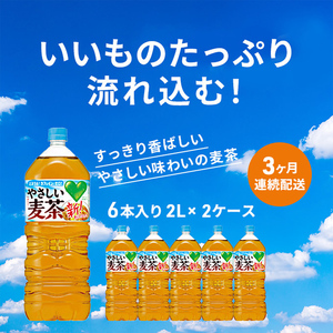 定期便 3ヵ月 麦茶 GREEN DA・KA・RA やさしい麦茶 2L×6本 2箱 ペットボトル