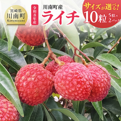 ※サイズが選べる※【令和8年産】川南町産ライチ 10粒(5粒×2パック) 【 国産ライチ フルーツ デザート 宮崎県産 】