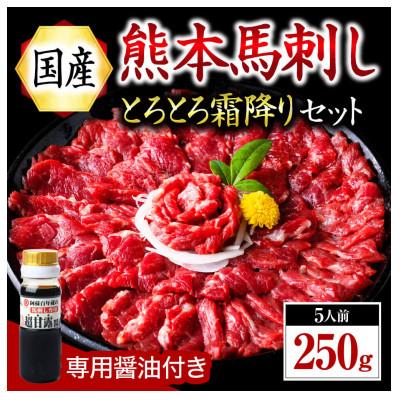 ふるさと納税 南小国町 【国産】熊本馬刺し とろとろ霜降りセット 中トロ 250g(南小国)