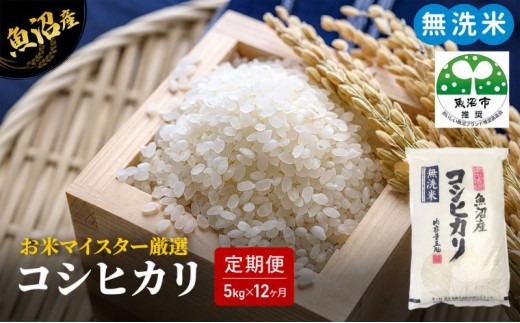 
                  無洗米 定期便 12ヶ月 コシヒカリ 5kg 米 白米 お米 魚沼産コシヒカリ 新潟米 新潟 魚沼市 定期 12回
                