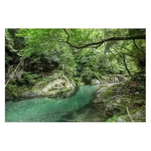 奈良 下北山村 一棟貸し宿 山の家晴々 - haru ∞ baru - 1~3名様 1泊2日 宿泊券