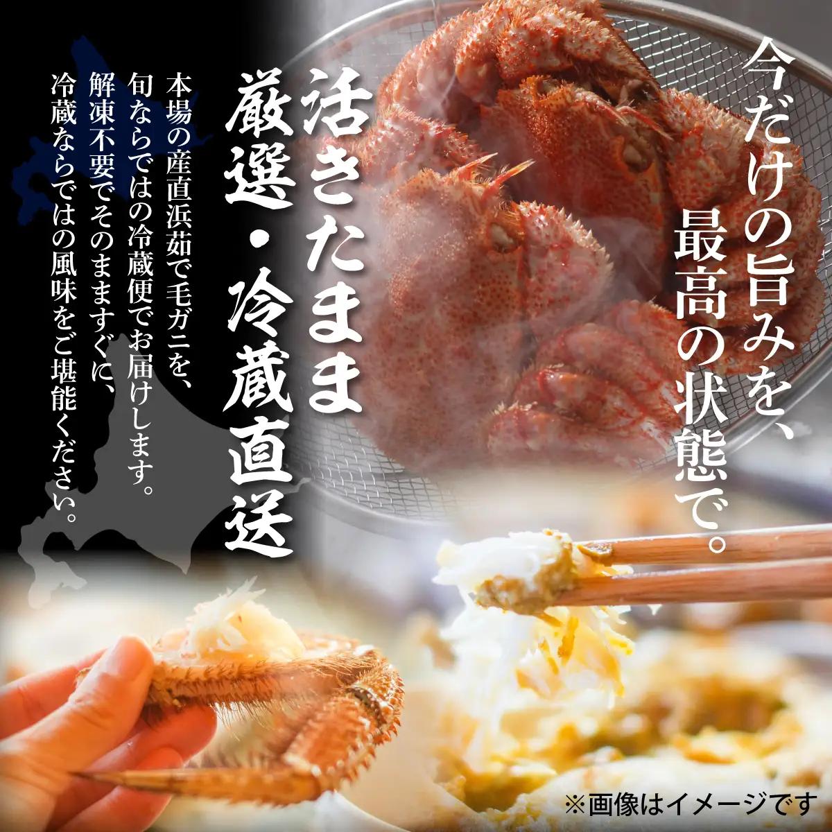 【先行予約】流氷海明け活〆毛がに2尾（冷蔵便）【2027年4月～順次発送開始予定】（網走加工）） ABAO2129 | 毛がに