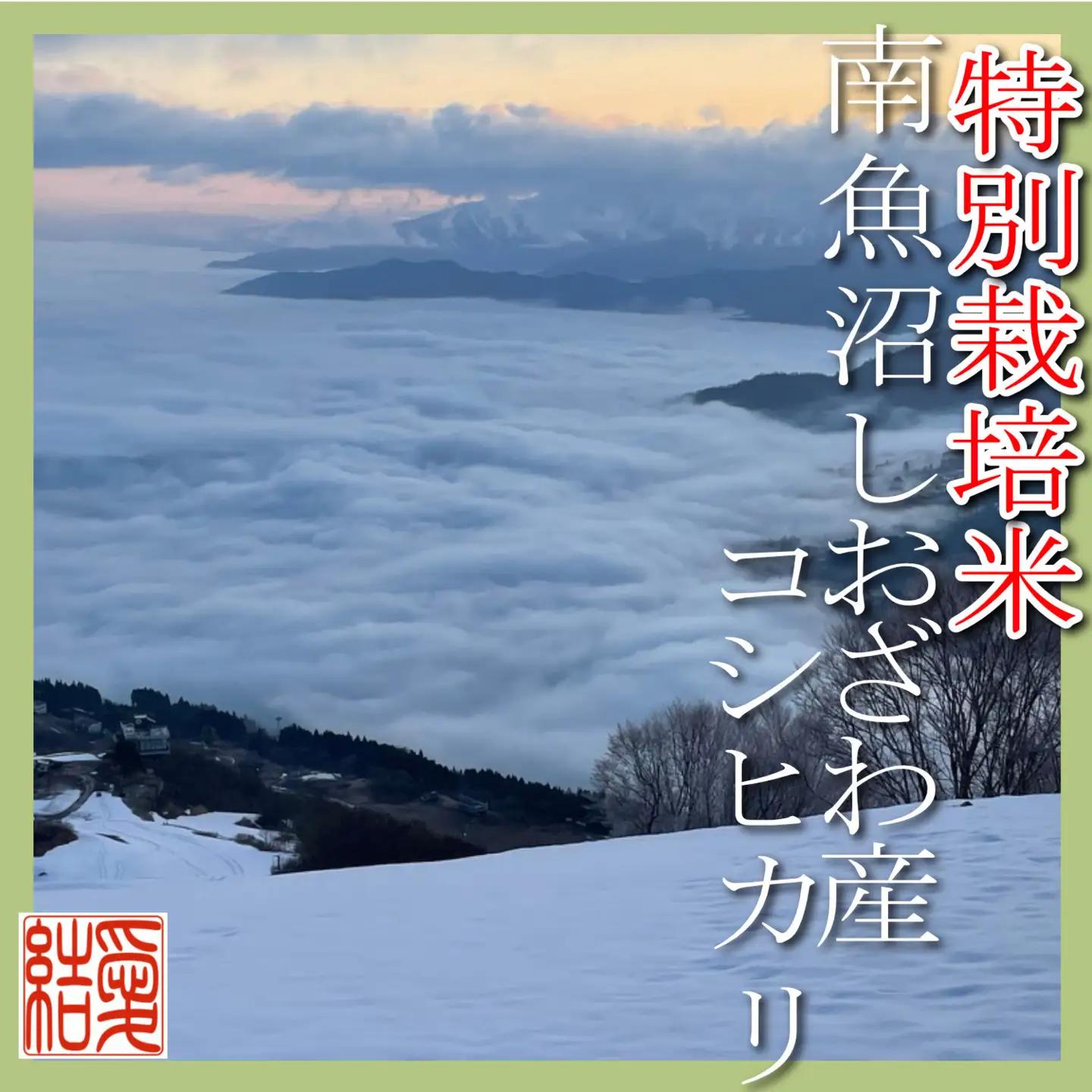 【令和7年】【定期便10Kg×12ヶ月】【特別栽培米】 契約生産者限定  南魚沼しおざわ産コシヒカリ｜こしひかり