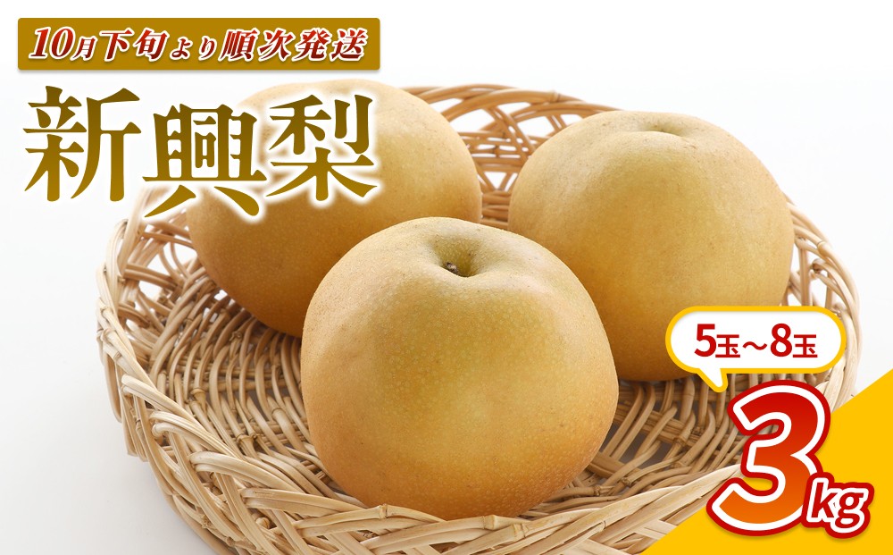 
                  【先行予約】中野農園 梨 ”新興梨” 3kg箱｜鳥取 岩美 梨 なし ナシ 赤梨 果物 フルーツ ※お届けは2026年11月以降【41083】
                