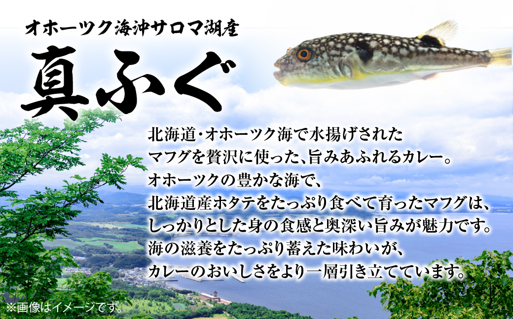 マフグたっぷり！ ふくカレー×4【北海道オホーツク海産フグ】 SRMN028