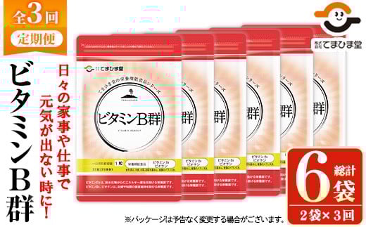 No.1300-A ＜定期便・全3回(隔月)＞ビタミンB群(2袋×3回・計6袋) 鹿児島 日置市 健康食品 サプリ 栄養バランス 食生活 安心安全 ビタミン 定期便 頒布会 【てまひま堂】【1031】【1299】