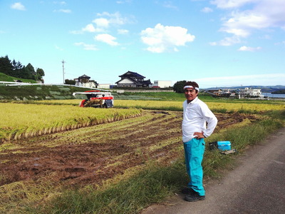 米 20kg / こしひかり 能登の心米（玄米20kg）/10kg×2袋　※2024年10月中旬頃より順次発送予定