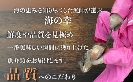 愛知県産白ミル貝(ナミガイ) 干物セット (塩味･醤油味 各1パック) 冷凍 干物 しお しょうゆ 塩 醤油 愛知県 南知多町 愛知県干物 南知多町干物 白みる貝 ミル貝 貝類 貝 ふるさと納税貝 ふ