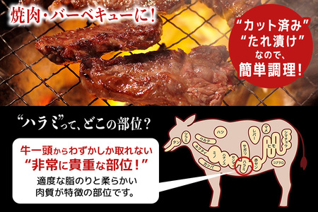 熟成牛ハラミ 1kg (250g×4パック) たれ 味付 小分け 冷凍 焼肉 焼き肉 牛 牛肉 ビーフ ハラミ BBQ 【そうざい男しゃく（株式会社池延）】【ho1468】