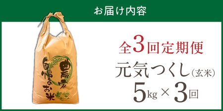 【定期便3回】【令和8年産 新米】福岡県産ブランド米元気つくし 玄米 5kg×3回 _  元気つくし 5kg お届け回数 3回 定期便 福岡県産 ブランド米 新米 福岡生まれ 品種 香り豊か ふっくら
