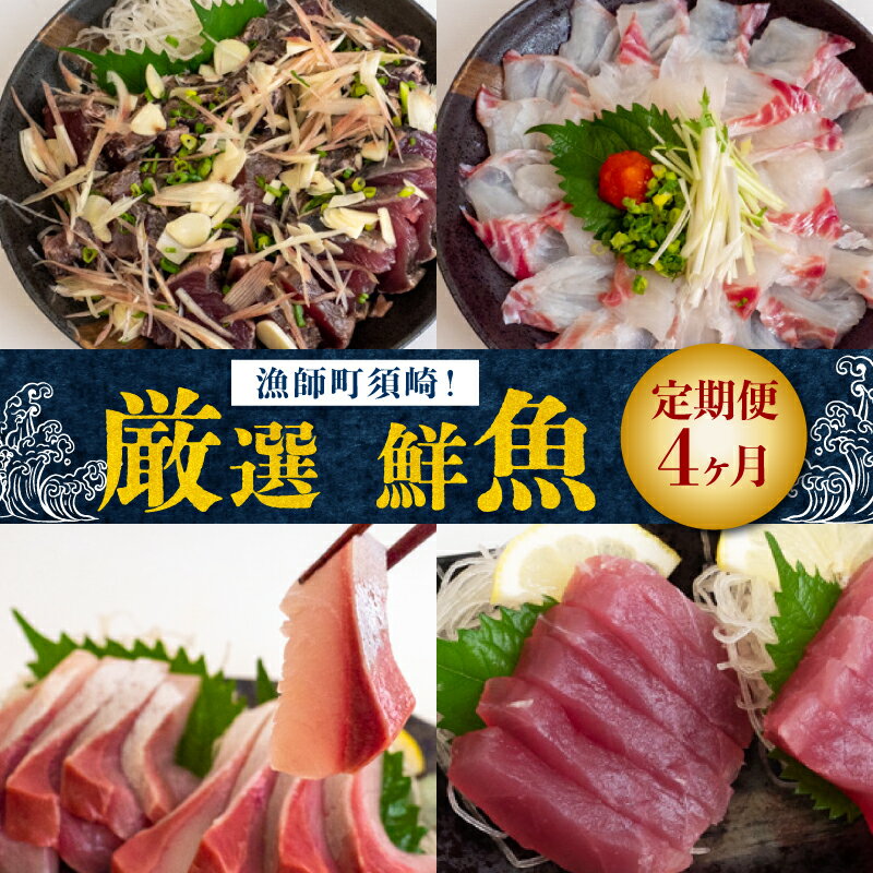 【ふるさと納税】 魚 刺身 定期便 4回 4ヶ月定期便 刺身定期便 毎月 国産 鮮魚 真鯛 かつおのたたき ブリ マグロ キハダマグロ かつお たたき 冷凍 冷蔵 鰤 鯛 鮪 鰹 藁焼き 海鮮 大容量 刺し身 お鍋 大晦日 年末 正月 高知県 須崎市