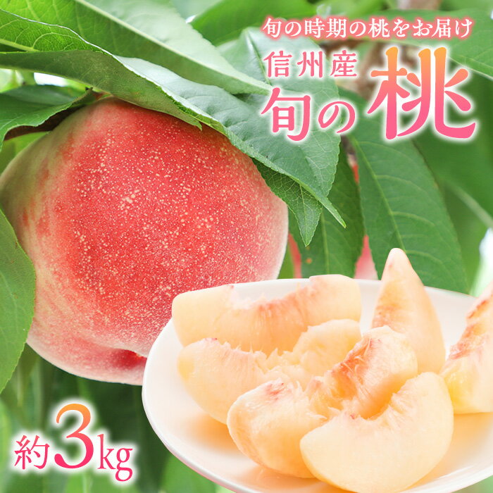【ふるさと納税】もも 3kg 11玉以上 信州のもも 桃 モモ 果物 くだもの フルーツ 旬の果物 旬のフルーツ 信州 あかつき 白桃 白根白桃 黄金桃 川中島白桃 信州 長野 長野県 　お届け：2025年8月1日～8月10日