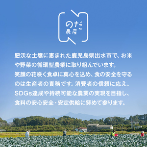 i994 ≪先行予約受付中！2025年12月上旬～4月下旬の間に発送予定≫ ブロッコリー 約2kg (M～L玉) 鹿児島 出水 国産 生 野菜 ブロッコリー 朝どれ 新鮮 産地直送 JGAP認証 安心