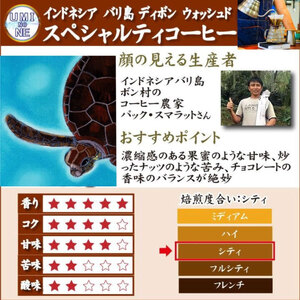 【豆】 訳あり コーヒー豆800g インドネシア 自家焙煎コーヒー豆 EW