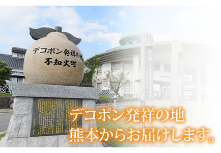 先行予約 訳あり デコみかん 4.5kg【2027年1月中旬-2027年4月下旬発送予定】  家庭用 規格外 フルーツ みかん 果物 果物 旬