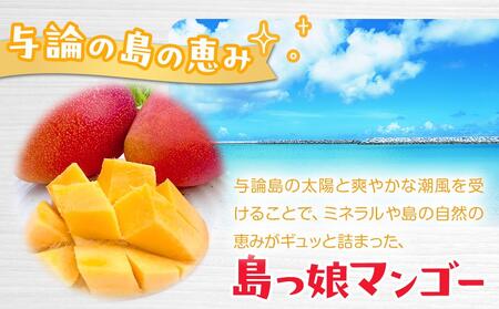 与論島産　島っ娘マンゴー（優品）1kg　2～3玉　糖度13度以上【先行予約：2025年7月上旬以降発送】| マンゴー 与論 マンゴー 人気 1kg マンゴー 与論島 マンゴー