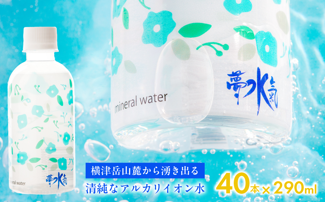 ミネラルウォーター夢水氣（290ml×40本） 天然アルカリイオン水 軟水 NABI002