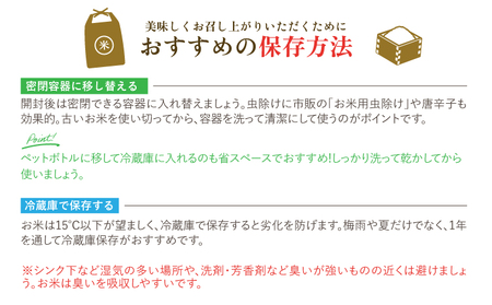 先行予約 令和7年産 森のくまさん 10kg 米 新米 白米 うるち米 お米 精白米 コメ ごはん 熊本県産精白米 ご飯 おこめ 精白米  ブランド米 単一米 国産 熊本県産 九州 熊本県 宇城市 先