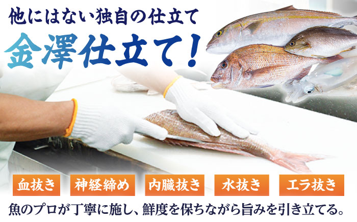 超速冷凍鮮魚7種（5種+焼物用2種）五島市/金沢鮮魚 [PEP068]