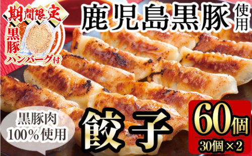 A-109 鹿児島黒豚餃子60個(30個×2)【九面屋】