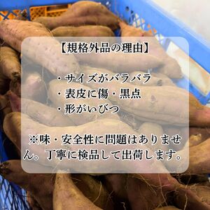 さつまいも 紅はるか 訳ありB品 15kg サツマイモ 甘藷 産出額 日本一 茨城県 鉾田市