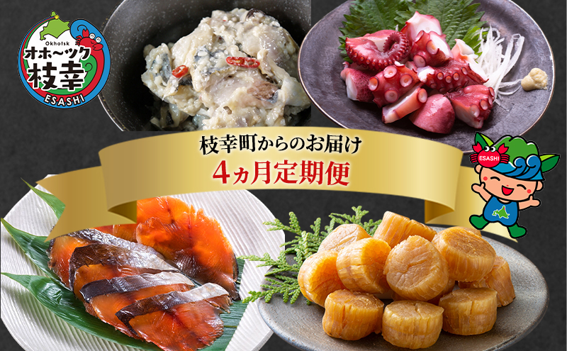 北海道枝幸町からのお届け おつまみにどうぞ！ 定期便4【 ホタテ 貝柱 サクラマス トバ にしん 味付 たこ 北海道 オホーツク 枝幸 】 