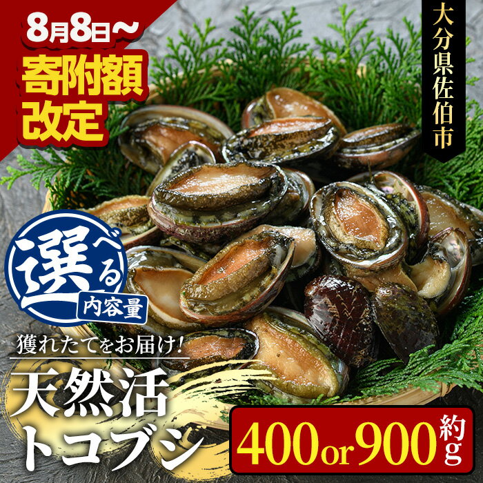 【ふるさと納税】＜内容量が選べる＞天然 トコブシ (約400g・約900g) 額改定 鮮魚 魚介 貝 トコブシ とこぶし 酒蒸し 網焼き バター焼き バーベキュー 獲れたて 冷蔵 海の直売所 大分県 佐伯市 魚貝 殻付【AS107・AS82】【海べ (株)】