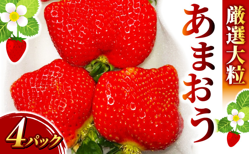 
                  《先行予約》【アフター保証】いちご 厳選大粒 あまおう (4パック)  川崎町 【2027年1月～3月に順次出荷予定】 イチゴ あかい おおきい うまい 
                
