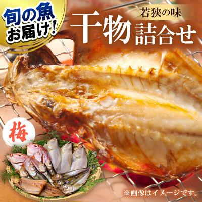ふるさと納税 小浜市 若狭の味 干物詰合せ(梅)