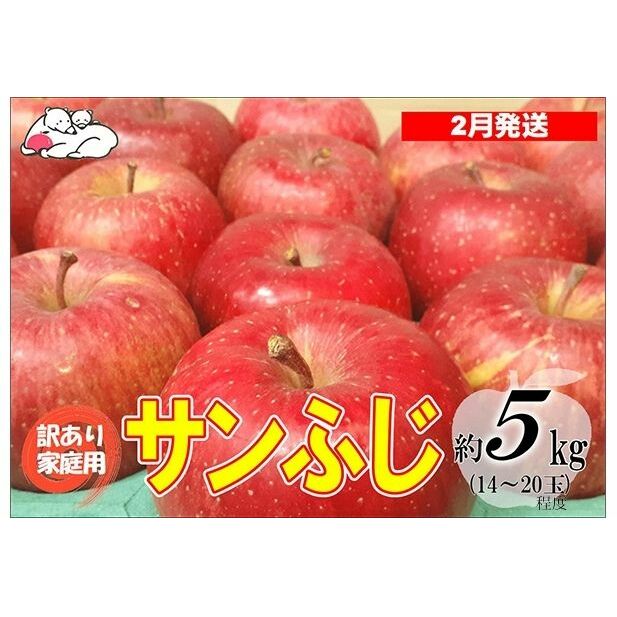 【2月発送】白熊 訳あり家庭用 サンふじ 約5kg 糖度13度【弘前市産 青森りんご 果物 フルーツ 食後 デザート シャキシャキ ジューシー りんごの王様  】