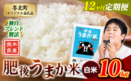 【12ヶ月定期便】肥後うまか米 10kg 白米《お申込み翌月から出荷》