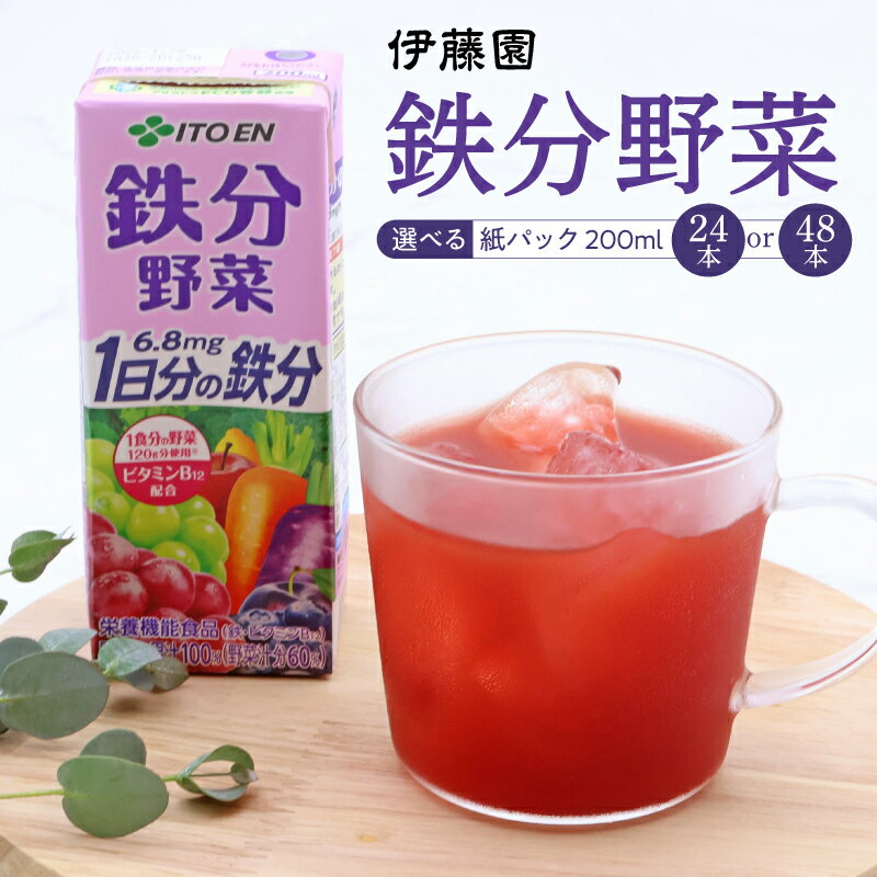 【ふるさと納税】伊藤園 鉄分野菜 紙パック 200ml 【選べる 24本と48本】にんじん ミックス ジュース パック飲料 ドリンク 鉄分 ビタミンB12 栄蓑機能食品 ベリー プルーン 1食分の野菜 1日分の鉄分 20 種の野菜 7 種の果実 東北 山形 寒河江