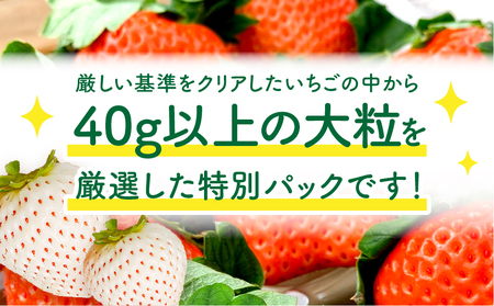 《2025年発送先行予約》【数量・期間限定】宮崎県産 幸せの紅白いちごセット（おおきみ&天使のいちご）大サイズ2パック いちご 果物 フルーツ